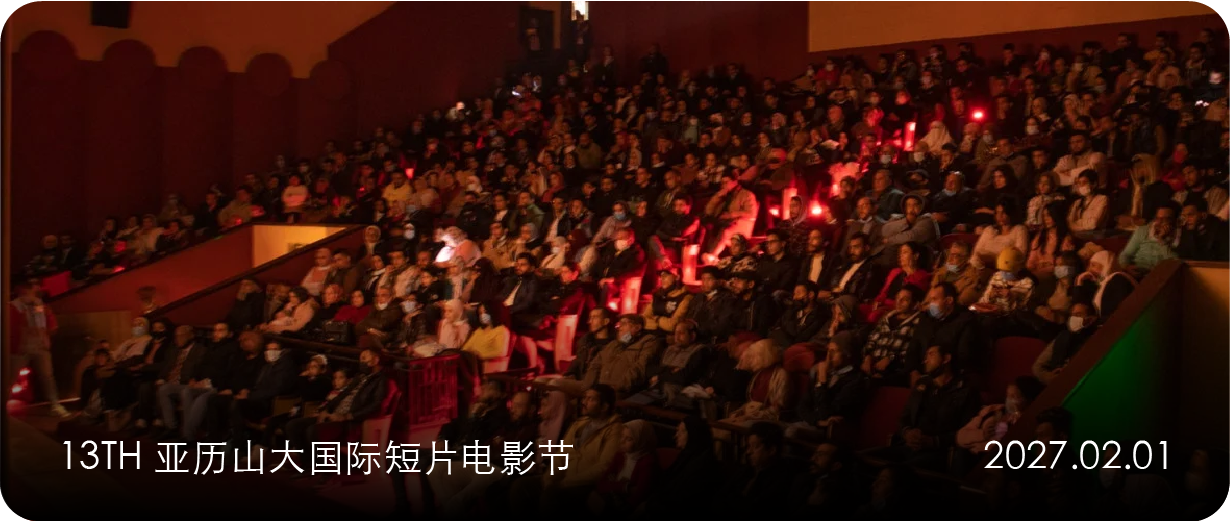征片｜13th 亚历山大国际短片电影节