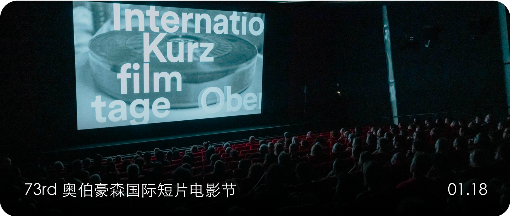 征片｜73rd 奥伯豪森国际短片电影节